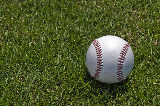 芝の上に転がる野球のボール
