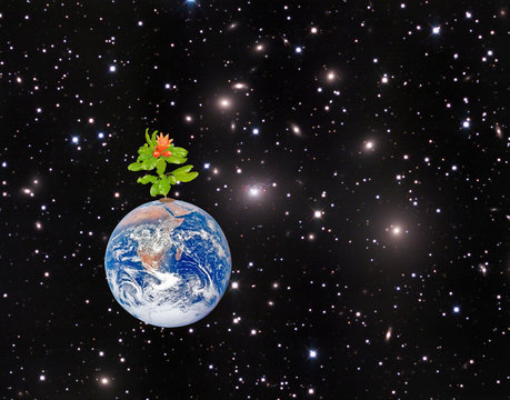 Planet earth as symbol of nature conservation.Elements of this i