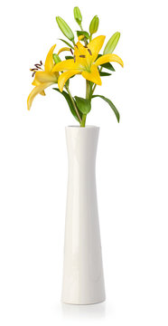 Yellow lily in white vase