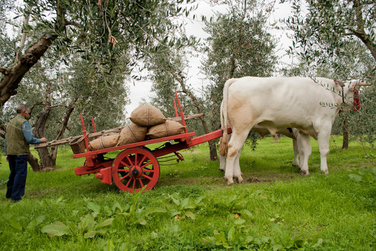 carro antico
