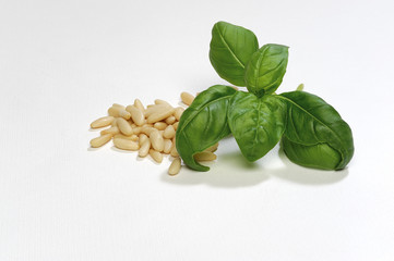 basilico