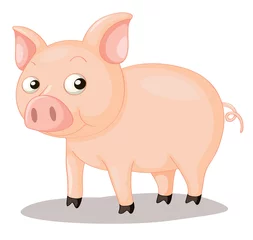 Papier Peint photo Lavable Ferme Illustration de cochon
