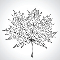 Leaf of a maple, nature symbol, monochrome vector.