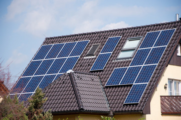 Fototapeta premium Solarzellen