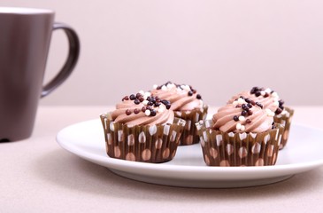 chocolate cupcakes