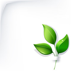 ecological background