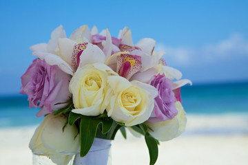 Rose's
