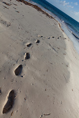 Trace de pas sur la plage de Coco Point à Barbuda