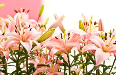 Pink Lilies arrangement