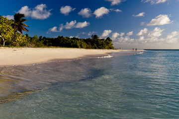 Plage de Coco Point à Barbuda