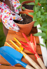 Spring in a garden, planting a flower