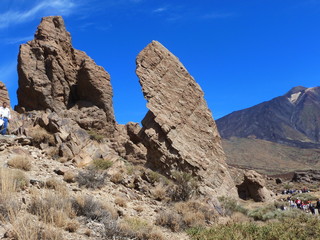 Fototapeta premium paysage sauvage