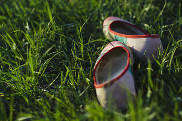 Балетки на лугу © fffoma