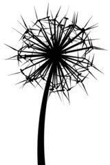 Dandelion from the wind generators (black and white version)