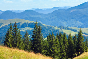 Summer mountain landscape