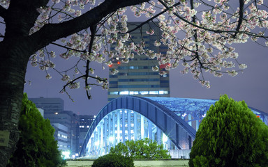 Naklejka premium Tokyo spring
