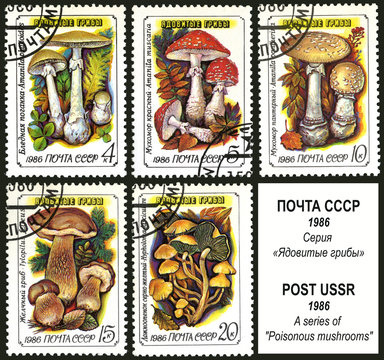 Poisonous mushrooms, postage stamp of the USSR