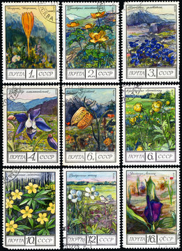 Flowers of the mountains of Caucasus, postage stamp