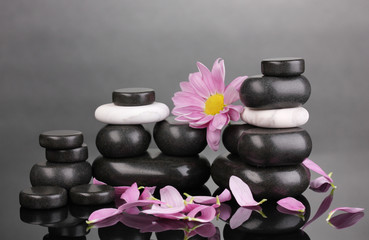 Obraz na płótnie Canvas Spa stones with petals and flower on grey background