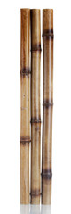 dry bamboo sticks isolated on white