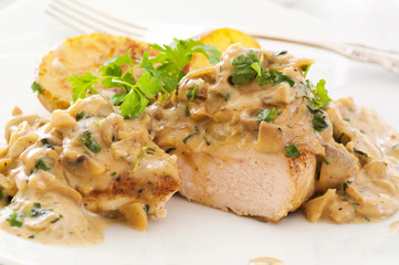 Hähnchen mit Pilzsauce © HLPhoto