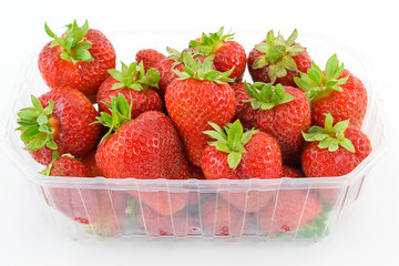 Strawberries in tubs