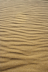 Waves of sand