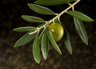 Olive in olivetree