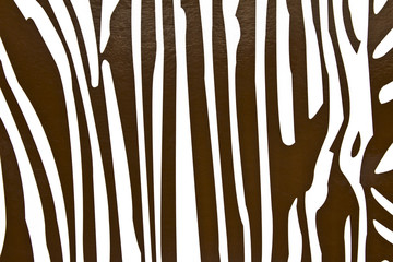 окраска зебры