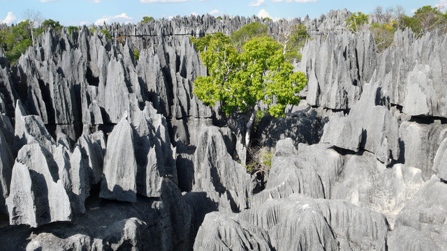 Tsingy de Bemaraha, Mahajanga, Madagascar