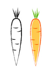 Carrots on white background