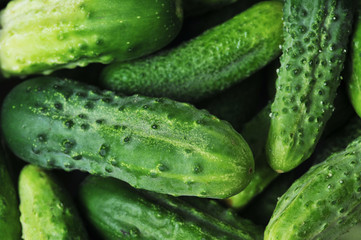 green cucumbers.