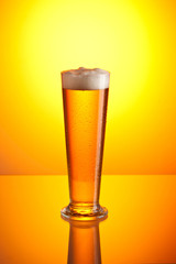 glass of beer