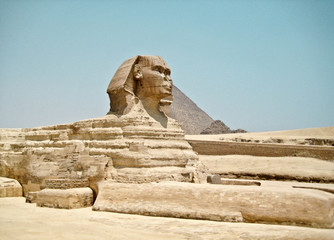 Vintage image of Sphynx