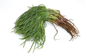 Italienisches Gemüse - Agretti