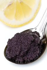 caviale nero