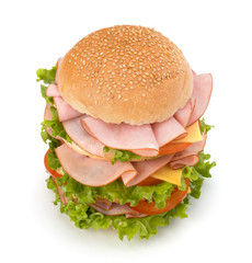 Junk food hamburger