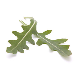 Fototapeta premium Sweet rucola salad or rocket lettuce leaves