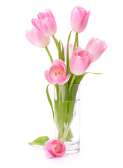 Pink tulips bouquet in vase isolated on white background