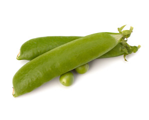 Fresh green pea pod