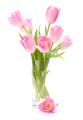 Pink tulips bouquet in vase isolated on white background