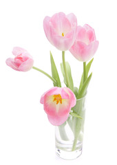Pink tulips bouquet in vase isolated on white background