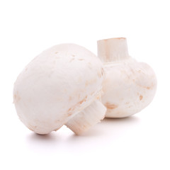 Champignon mushroom
