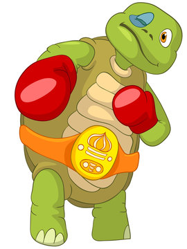 Funny Turtle. Boxer.