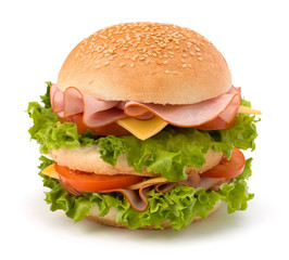 Junk food hamburger