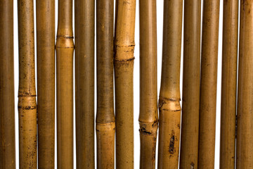 bamboo stems background
