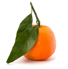 Ripe tasty tangerine
