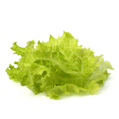 Salad lettuce