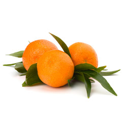 Tangerines
