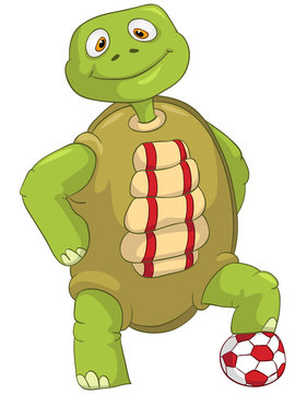 Funny Turtle. Soccer Player.